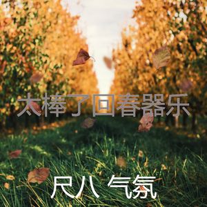 抚慰的回春回忆