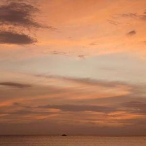 和你见面，是我疲惫生活里的唯一解药