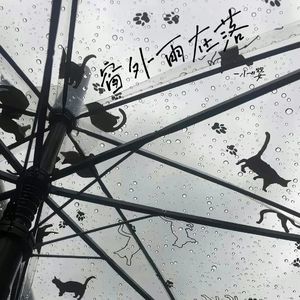 窗外雨在落