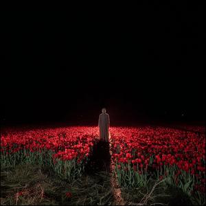 zeroangeL (feat. Cxdy)