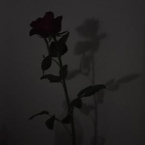 Vandal's Gift/ Mended Mistakes