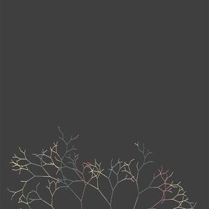 青春绽放的地方