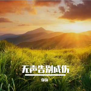无声告别成伤