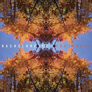 Have You Lost Your Way?