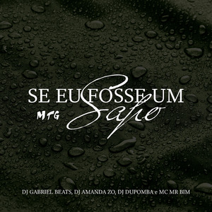 Mtg - Se Eu Fosse um Sapo