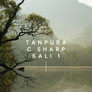C Sharp Kali 1 Tanpura