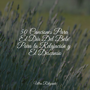 Recuerdos