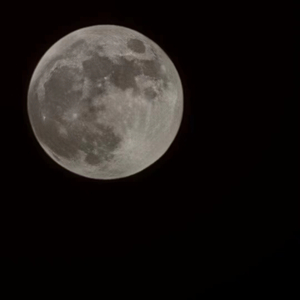 自我宿命（Prod.by Slim Dyane）