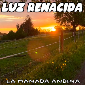 Luz Renacida