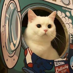 副本即将崩塌 请宿主们前往下一个世界-逆洄（热播）