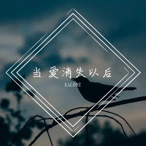 当 爱消失以后 伴奏