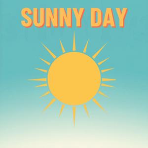SUNNY DAY