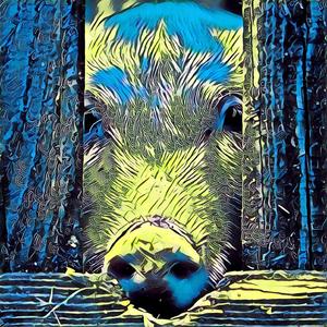 He Said I'm Coming Home