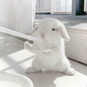 孤剑划破寒江雪落