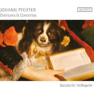 Overture for 2 Oboes, Bassoon, Strings and Continuo in G Major: I. Overture