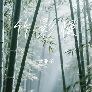 竹影慢