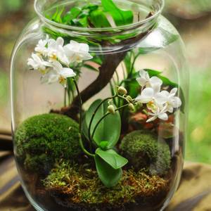 You’re my Prince Charming