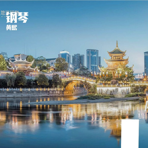 灵动琴音跃动旅行Vlog