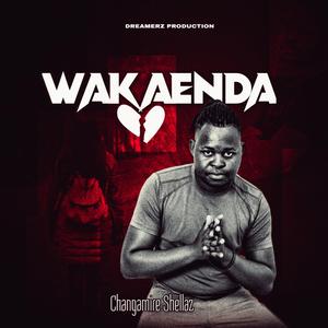 Wakaenda