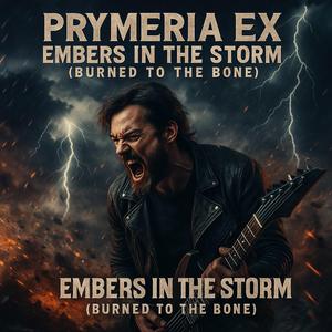 Embers in the Storm (Burned to the Bone)