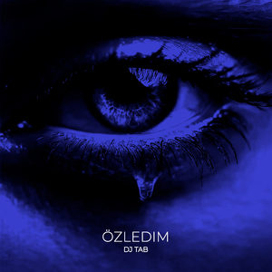 Özledim
