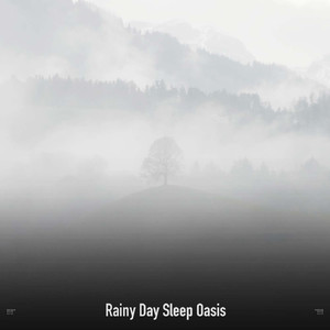 Raindrops Sleep Soundscape