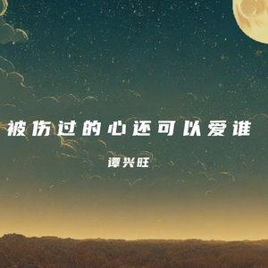 被伤过的心还可以爱谁（翻自 六哲）
