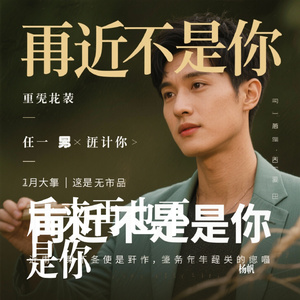 后来再也不是你