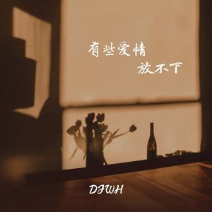 有些爱情放不下（DJWH版）