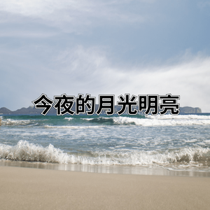 今夜的月光明亮