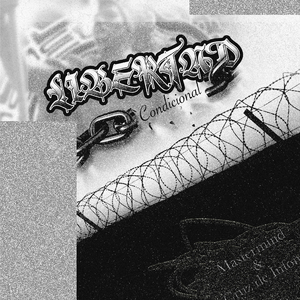 Libertad Condicional