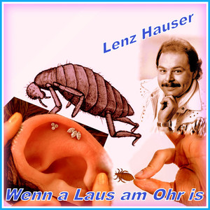Wenn a Laus am Ohr is