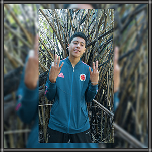 Ldi Hasta la Tumba