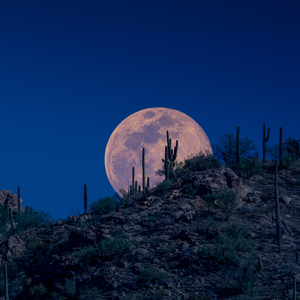 "美好即将发生" - Pluggnb Type Beat