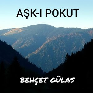 Aşk-ı Pokut