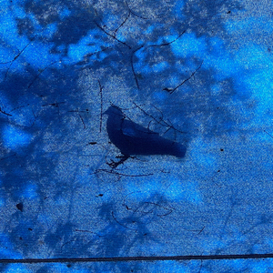 เพราะเธอยังติดอยู่ในใจ