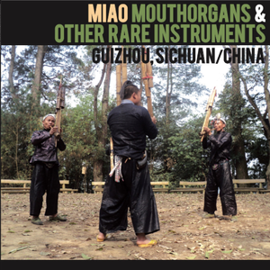 HMOOB MOUTHORGANS IN GUIZHOU CHINA
