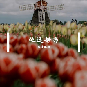 繁忙都市的温暖记忆