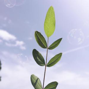 爱情剧本（xxx）