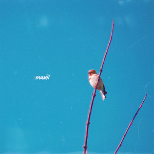 Ardente (Original Mix)