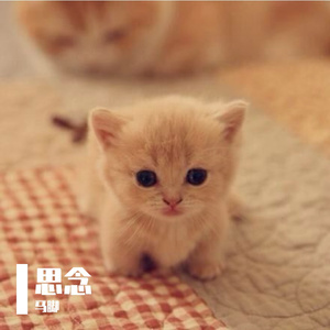 【free】思念 guitar beat