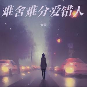 难舍难分爱错人