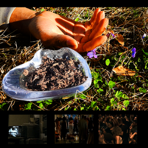 𝔸𝕚𝕞𝕝𝕖𝕤𝕤