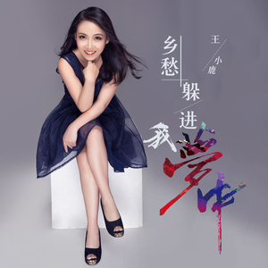 乡愁躲进我梦中