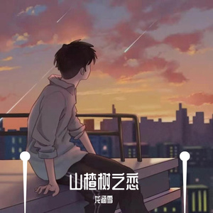 我的那山楂树之恋(中文电摇)