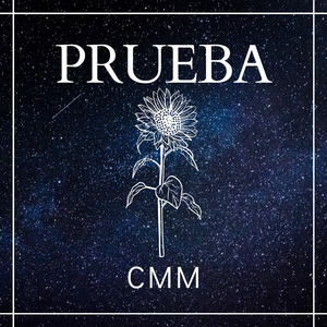 Prueba