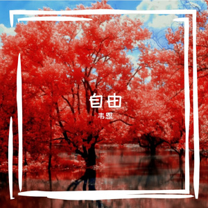 夜色朦胧