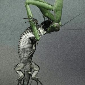 Gnawed To Death (Cere Gluttony Lives)