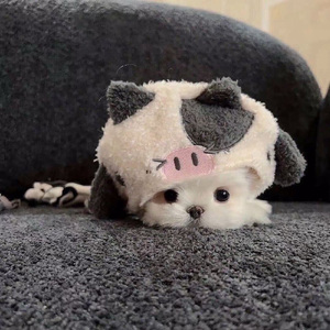 身影