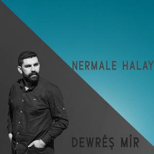 Ner Male Halay Şarkısı (feat. Dewrêş Mîr)